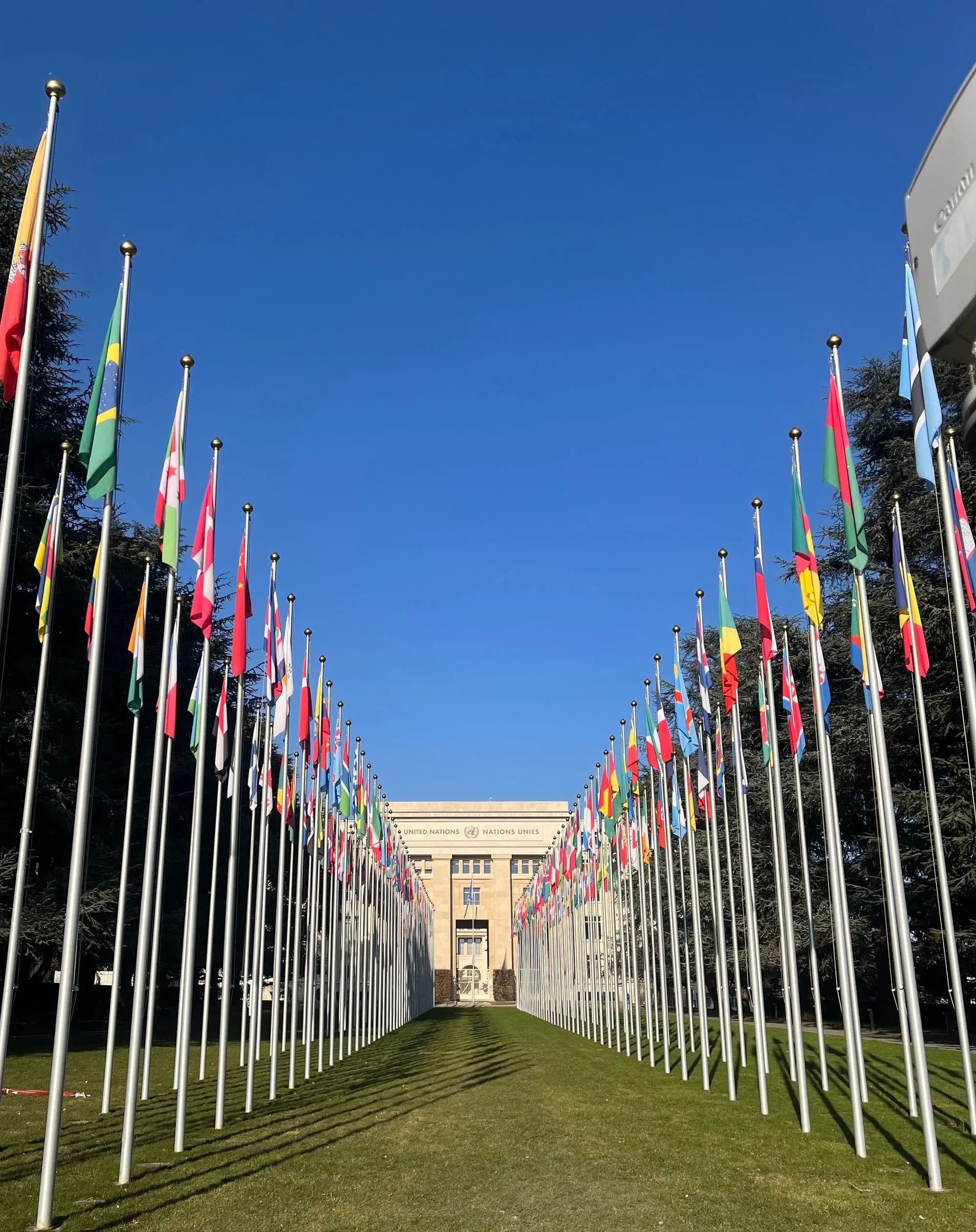 International flags arranged outside a major diplomatic institution.